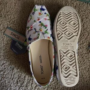 Hummingbird Toms Alpargatas